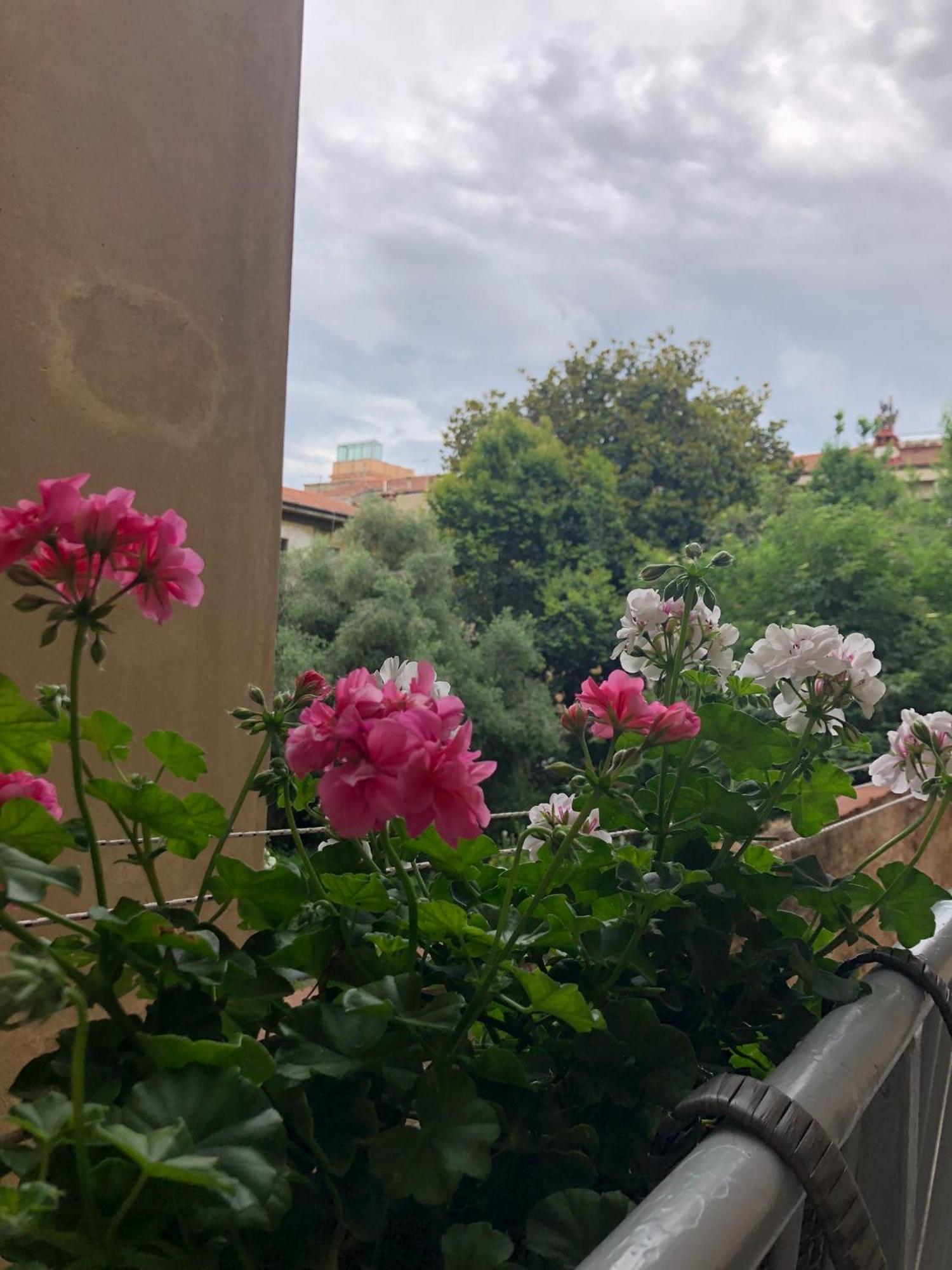 Appartamento Sonnino House